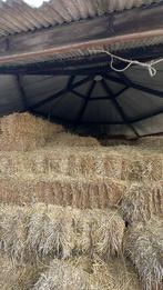 Stro, Dieren en Toebehoren, Dierenvoeding, Ophalen of Verzenden