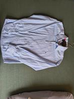 Tommy Hilfiger overhemd L, Ophalen, Wit, Tommy Hilfiger, Zo goed als nieuw