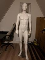 Heren Paspop / Etalagepop, Ophalen of Verzenden, Zo goed als nieuw