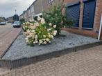 Gratis sier stenen, Tuin en Terras, Grind, Keien en Split, Ophalen, Overige materialen
