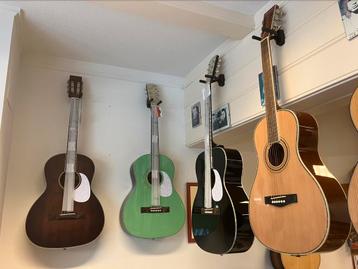Richwood Akoestische Western Gitaar Nieuw Solid top Parlor  beschikbaar voor biedingen
