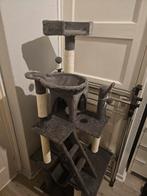 Katten krappaal, Dieren en Toebehoren, Ophalen