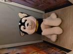 Grote husky hond, Ophalen, Hond