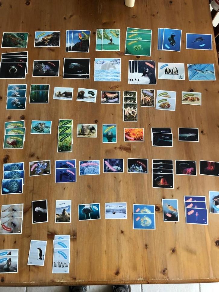 AH expeditie oceaan stickers te koop Klein groot per stuk TK, Verzamelen, Supermarktacties, Albert Heijn, Ophalen