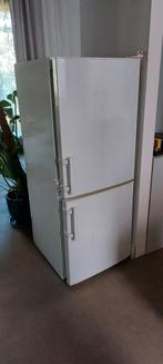 Liebherr, Witgoed en Apparatuur, Koelkasten en IJskasten, Ophalen, Gebruikt, 45 tot 60 cm, 160 cm of meer
