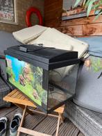 Aquarium., Ophalen of Verzenden, Zo goed als nieuw, Leeg aquarium