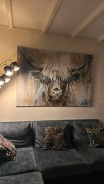 Schotse Hooglander Canvas 120x170cm, Ophalen