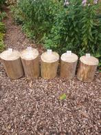 Boomstam(metjes) 30-40cm hoog kruk/plant, Doe-het-zelf en Verbouw, Hout en Planken, Ophalen, Nieuw, Minder dan 200 cm, Plank