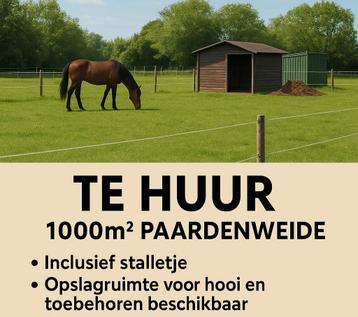 Te huur: Paardenweide ca. 1000m² – inclusief stalletje beschikbaar voor biedingen