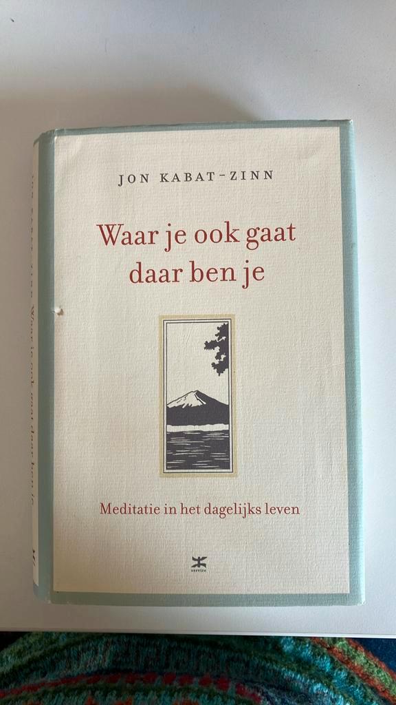 Jon Kabat-Zinn - Waar je ook gaat, daar ben je, Boeken, Filosofie, Gelezen, Ophalen of Verzenden