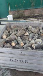Brandhout te koop - Blokken/Takken, Minder dan 3 m³, Ophalen, Overige houtsoorten, Blokken
