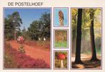 De Postelhoef, Luyksgestel, Ophalen of Verzenden, 1980 tot heden, Gelopen, Noord-Brabant