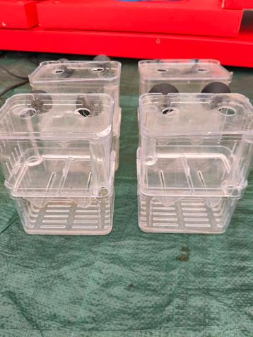 Vissen kweekbakjes beschikbaar voor biedingen