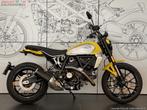 Ducati SCRAMBLER ICON (bj 2023), Motoren, Bedrijf, 803 cc, 2 cilinders, Sport