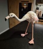 Vintage flamingo etalage model jaren '60 etalagevogel, Ophalen of Verzenden, Gebruikt