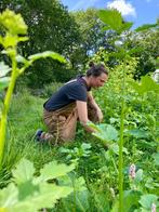 Hulp in de tuin, tuinman hovenier tuinhulp, Ophalen of Verzenden, Volle zon, Overige soorten
