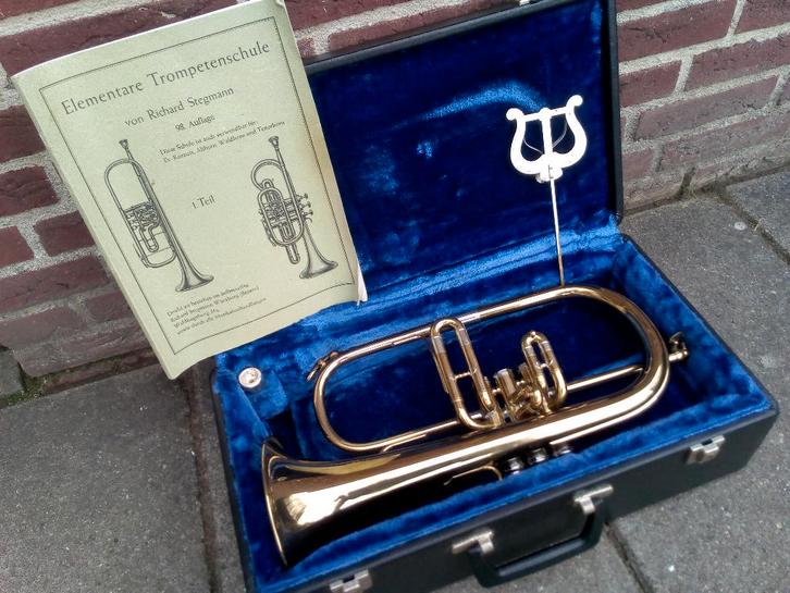 Bugel met Vincent Bach mondstuk in originele koffer, Muziek en Instrumenten, Blaasinstrumenten | Trompetten, Gebruikt, Overige typen