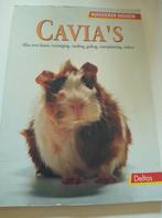 Cavia's, Boeken, Dieren en Huisdieren, Ophalen of Verzenden, Zo goed als nieuw, Paarden of Pony's