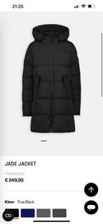 Airforce jas jade zwart maat 12, Kleding | Dames, Jassen | Winter, Airforce, Zwart, Nieuw, Ophalen of Verzenden