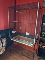 Grote vogelkooi, Dieren en Toebehoren, Vogels | Hokken en Kooien, Ophalen, Gebruikt, Metaal, Vogelkooi