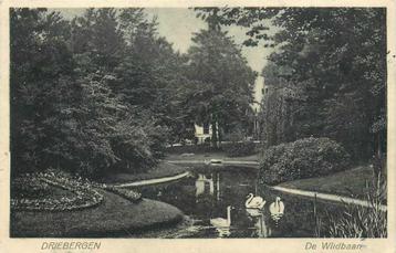 (377-008-015) Driebergen De Wildbaan beschikbaar voor biedingen