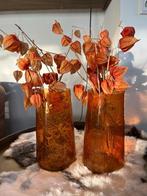 Nieuw: glazen oranje vazen met lampionnen, droogbloemen, Huis en Inrichting, Woonaccessoires | Vazen, Minder dan 50 cm, Nieuw