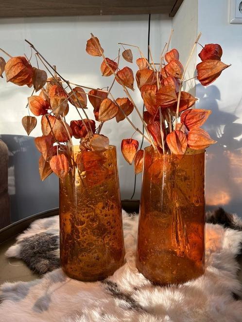 Nieuw: glazen oranje vazen met lampionnen, droogbloemen, Huis en Inrichting, Woonaccessoires | Vazen, Nieuw, Oranje, Minder dan 50 cm