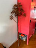 Siertak gratis op te halen, Ophalen, Gebruikt