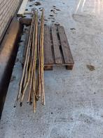 Set van 10 bamboe / bonenstokken, Tuin en Terras, Palen, Balken en Planken, Ophalen, Nieuw, 250 cm of meer, Palen