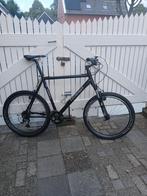 Sensa Steenbergen [XXL] uitvoering Mountainbike., 57 cm of meer, Hardtail, Heren, Zo goed als nieuw