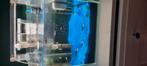 Aquarium, Dieren en Toebehoren, Ophalen, Zo goed als nieuw, Leeg aquarium