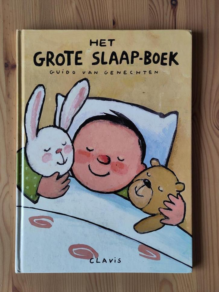 Het grote slaap-boek, Boeken, Kinderboeken | Baby's en Peuters, Gelezen, Ophalen of Verzenden