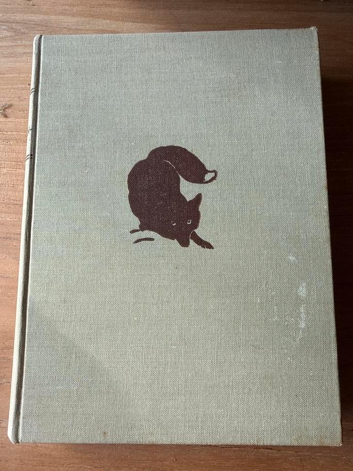 Hermann Löns - De Kraaienhut, Boeken, Literatuur, Gelezen, Nederland, Ophalen of Verzenden