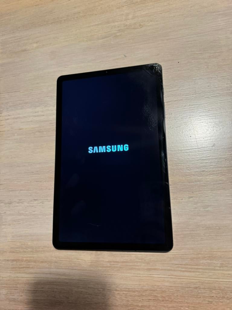 Samsung Galaxy tab S6 lite 2020 (beschadigd scherm), Telecommunicatie, Mobiele telefoons | Samsung, 64 GB, Ophalen of Verzenden
