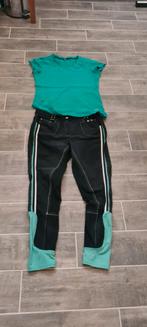 Harry horse rijbroek maat 40 en shirt, Ophalen of Verzenden, Zo goed als nieuw, Dressuur, Onderkleding