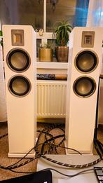 Audiovector QR3 + Primare i22 met dac module te koop, Audio, Tv en Foto, Luidsprekers, Zo goed als nieuw, 120 watt of meer, Front, Rear of Stereo speakers