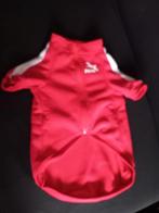 Nw 2 lekker warme honden jasjes maat L (prijs is beide), Dieren en Toebehoren, Ophalen of Verzenden, Nieuw, Hondenjas