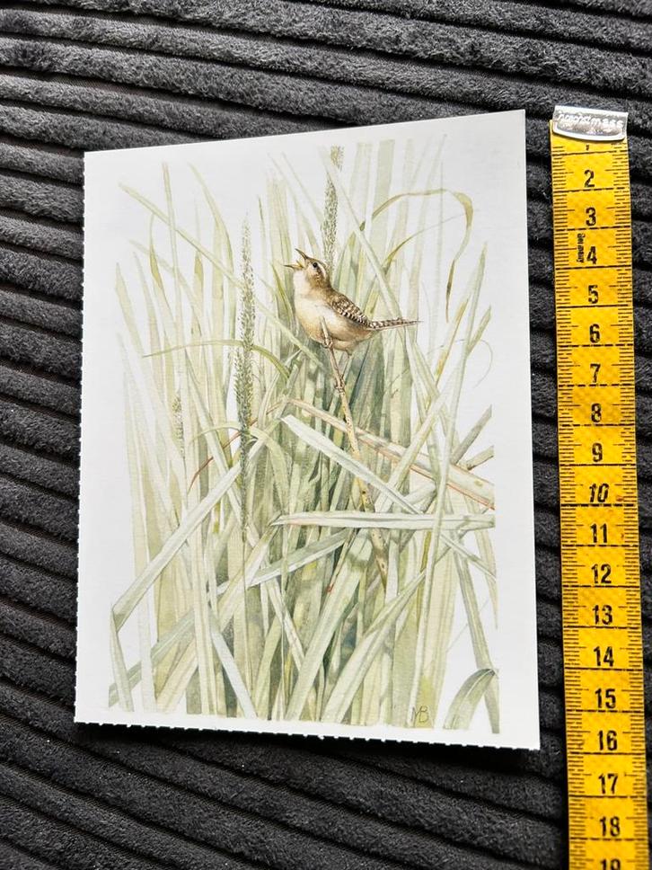 467.kaart illustr Marjolein Bastin Libelle, Verzamelen, Ansichtkaarten | Themakaarten, Ongelopen, 1980 tot heden, Ophalen of Verzenden