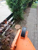 Boom verwijderen en of stronk verwijderen met stobbenfrees, Garantie, Tuinonderhoud of Snoeiwerk