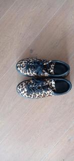 Schoenen met panter look, zwart en panter, maat 39, Kleding | Dames, Schoenen, Ophalen of Verzenden