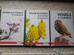 Vogels , Bomen en Struiken en Wilde bloemen, Ophalen of Verzenden, Bloemen, Planten en Bomen