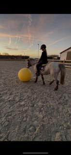 🐴✨ Super schattige allround pony✨🐴, Dieren en Toebehoren, Pony's, Merrie, Zadelmak, Gechipt, B pony (1.17m tot 1.27m)