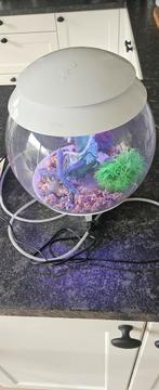 Biorb 15 liter aquarium, Dieren en Toebehoren, Vissen | Aquaria en Toebehoren, Ophalen, Gebruikt, Leeg aquarium