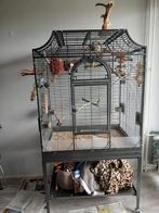 Zo goed als nieuwe Madeira 3, Ophalen, Zo goed als nieuw, Metaal, Vogelkooi