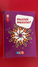 Muziek Meester!, Boeken, Rinze van der Lei; Lieuwe Noordam; Frans Haverkort, Ophalen of Verzenden, Zo goed als nieuw, Nederlands