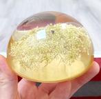 Lucite presse-papier gedroogde bloemen, Boho-stijl, Huis en Inrichting, Woonaccessoires | Overige, Ophalen of Verzenden