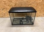 superfish 60liter aquarium, Dieren en Toebehoren, Vissen | Aquaria en Toebehoren, Ophalen of Verzenden, Gebruikt, Leeg aquarium