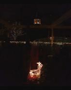 Rendier LED verlichting voor zowel buiten als binnen, Diversen, Kerst, Ophalen of Verzenden, Zo goed als nieuw