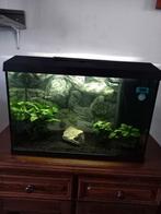 Juwel primo 70 te koop, Ophalen, Nieuw, Leeg aquarium