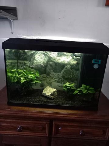 Juwel primo 70 te koop beschikbaar voor biedingen